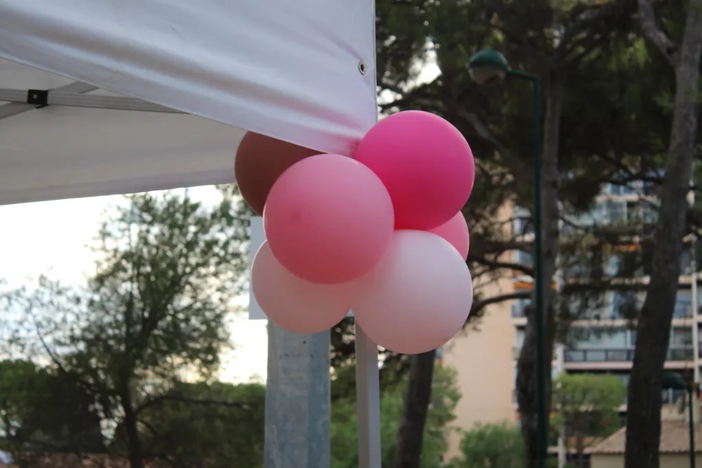 Octobre Rose : une journée solidaire et haute en couleur au Cannet — photo 28
