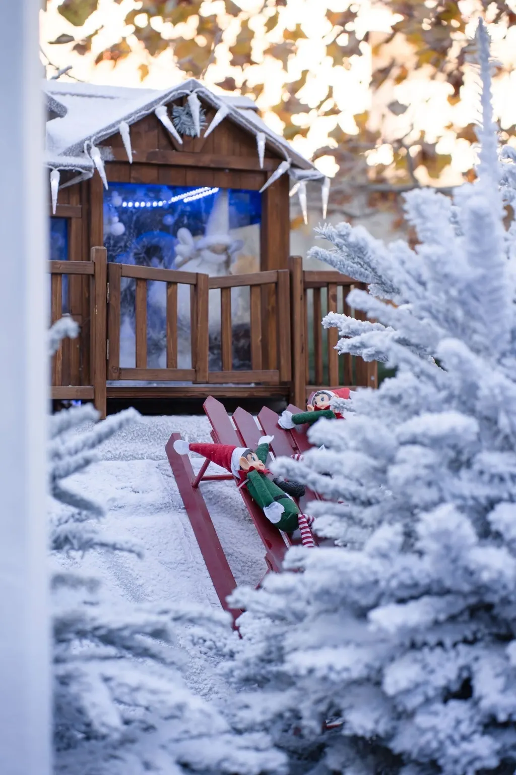 Grands décors et espaces extérieurs — photo 5
